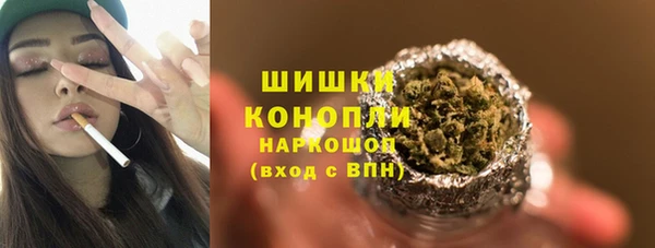 сатива Краснослободск