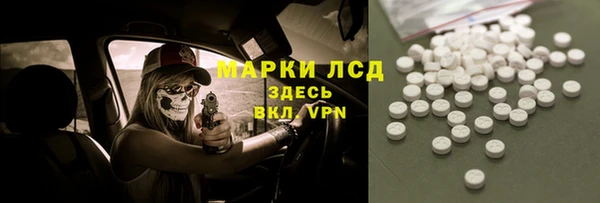 сатива Краснослободск