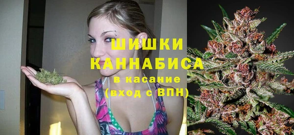 сатива Краснослободск