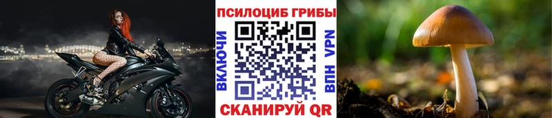 Псилоцибиновые грибы прущие грибы  купить   Каменск-Уральский 