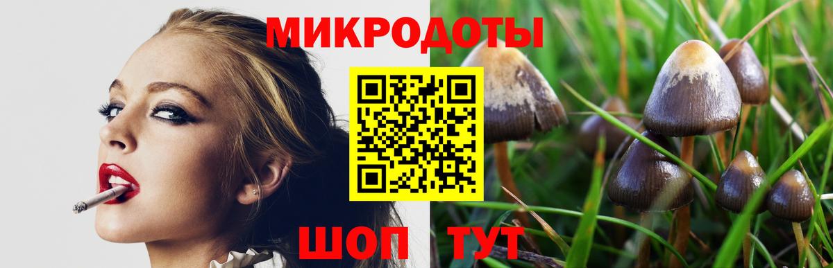 Псилоцибиновые грибы прущие грибы  купить наркотики сайты  Псилоцибиновые грибы ЛСД  Каменск-Уральский  Вход с VPN 